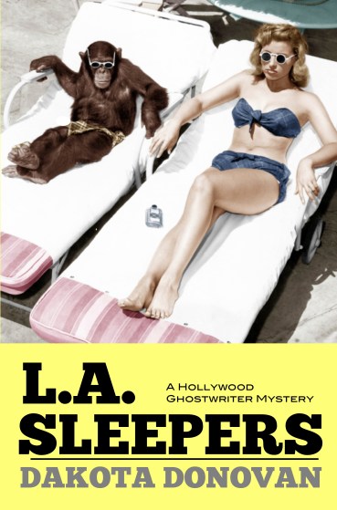 sleepers cover 61316front